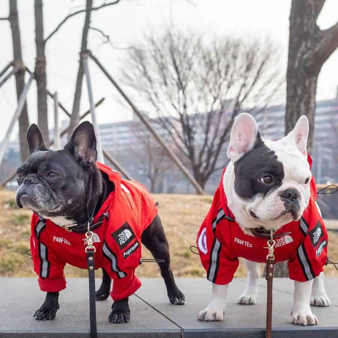 Paw-Tex™- All-Weather Dog Jacket - Mans Bestie