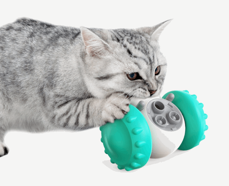 Slow Feed Interactive Balance Car for Cats & Dogs - Mans Bestie