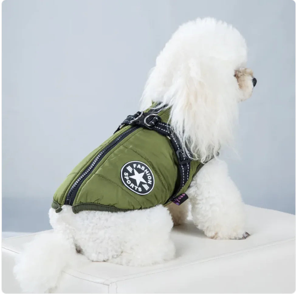 AlpinePaws⢠Vest - Mans Bestie