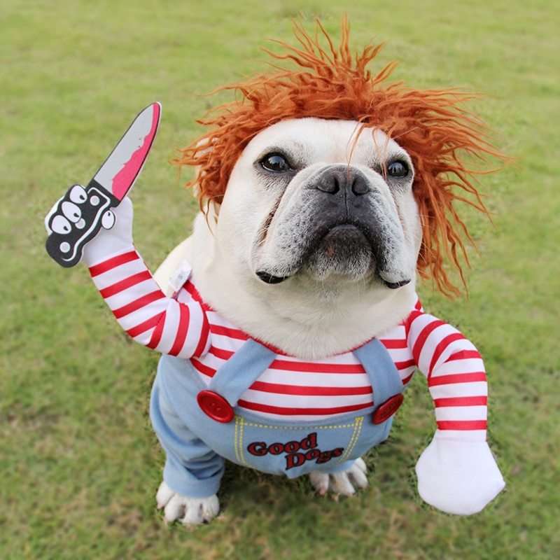 Pet Scary Costume Pet - Mans Bestie