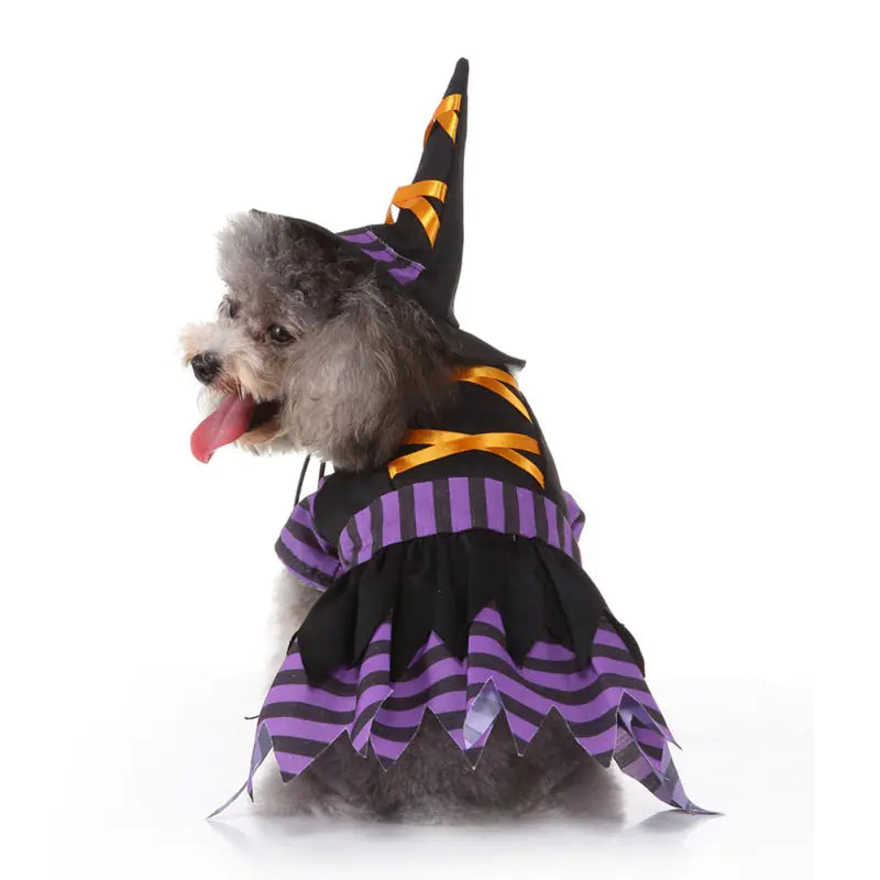 Bewitching Paws™ – Witch Costume Cape & Hat for Dogs - Mans Bestie