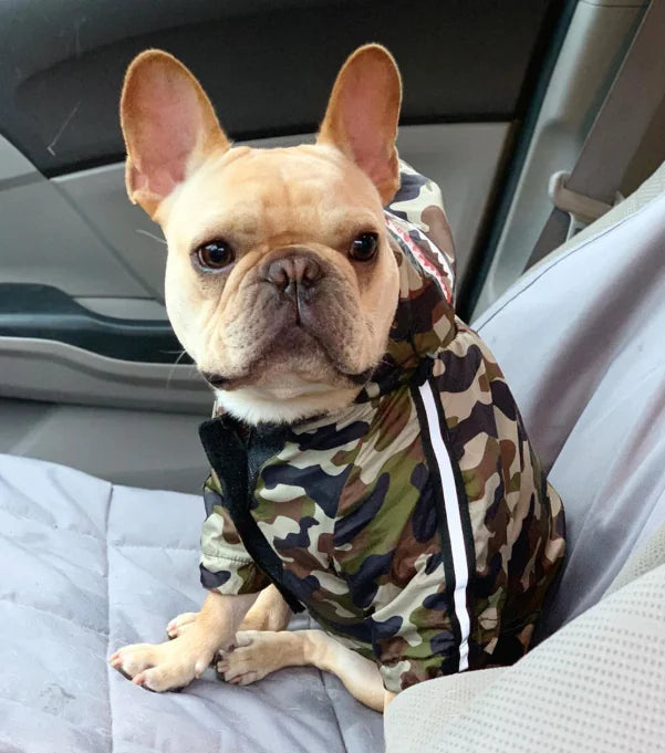 Paw-Tex™- All-Weather Dog Jacket - Mans Bestie