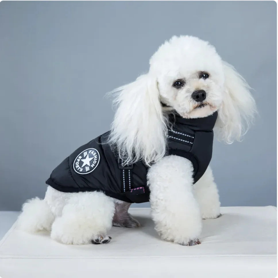 AlpinePaws⢠Vest - Mans Bestie