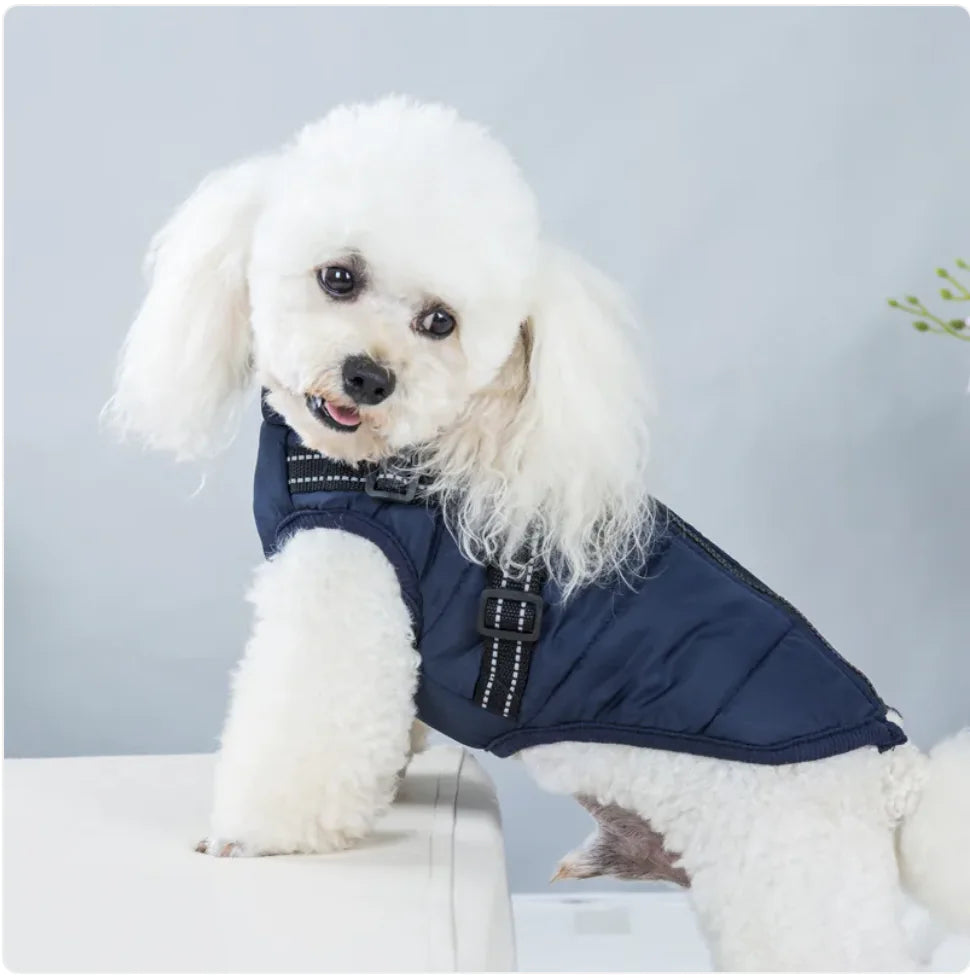 AlpinePaws⢠Vest - Mans Bestie