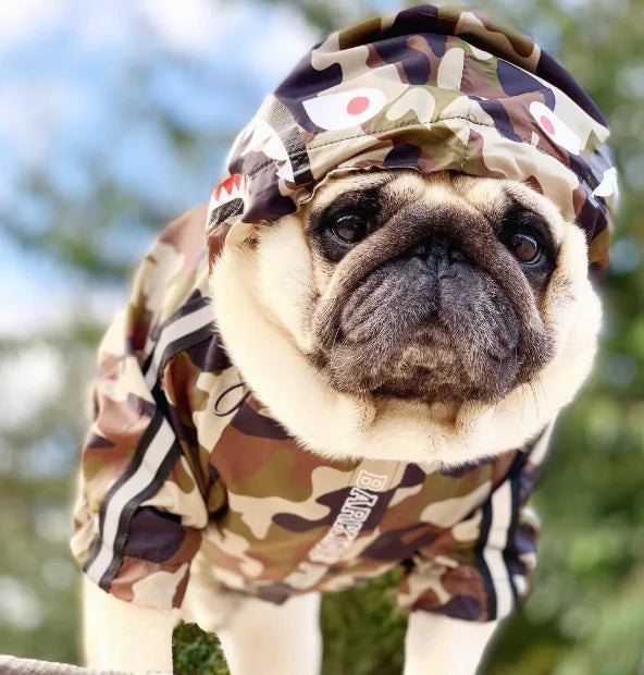 Paw-Tex™- All-Weather Dog Jacket - Mans Bestie