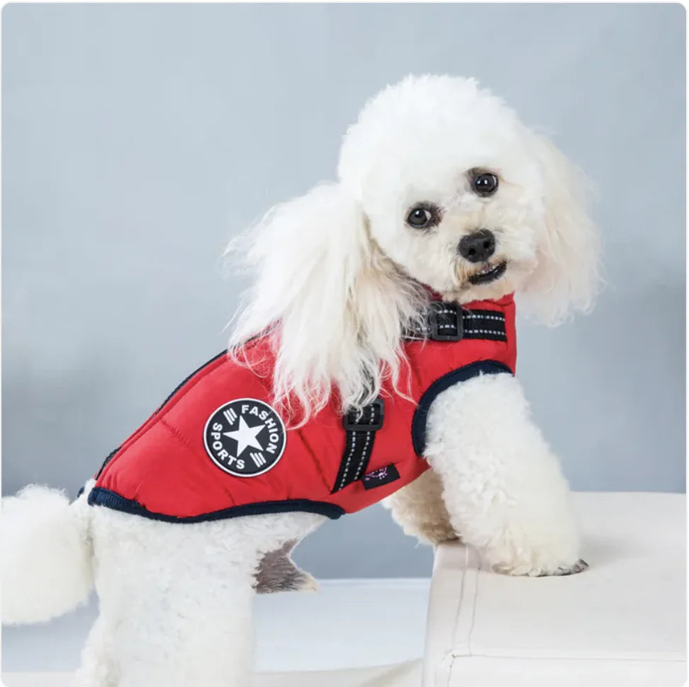 AlpinePaws⢠Vest - Mans Bestie