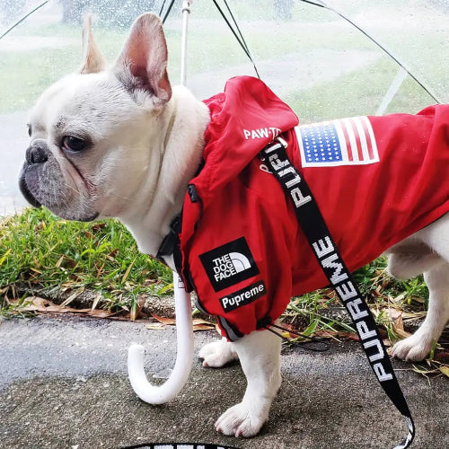 Dog wearing a red hoodie from Mans Besite with visible branding, standing outdoors on a wet pavement.