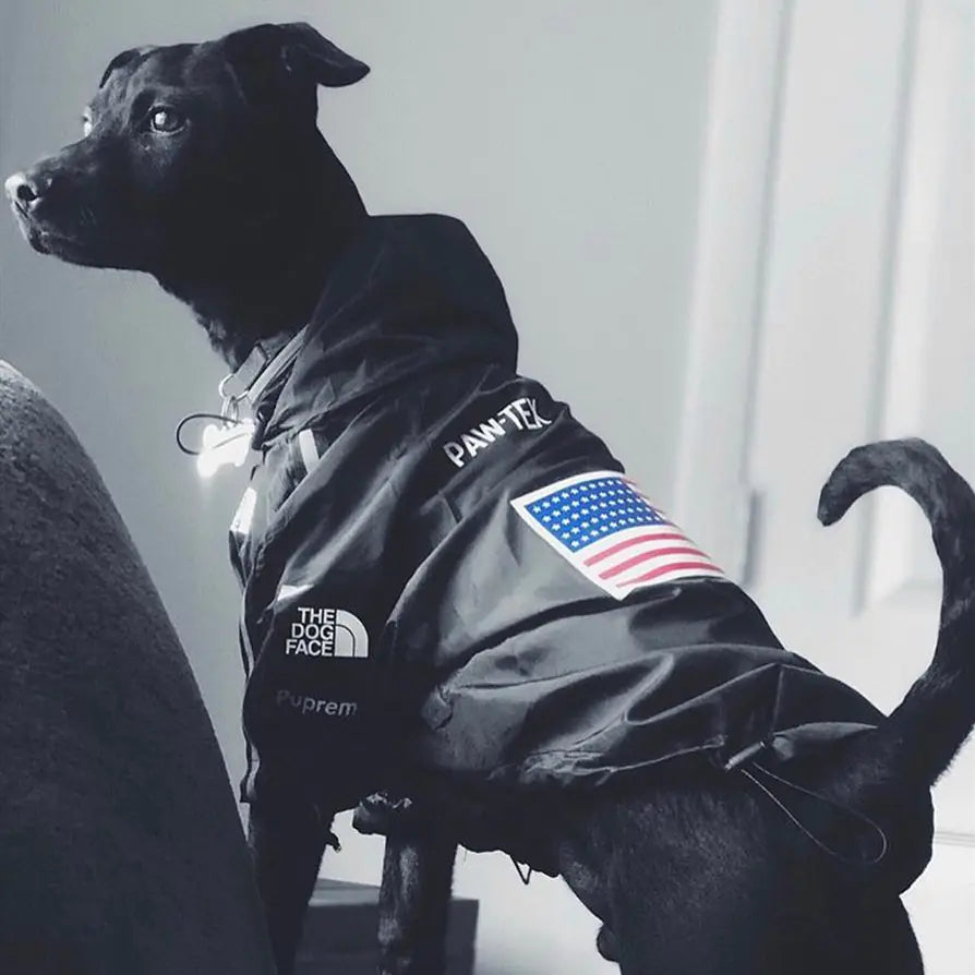 Paw-Tex™- All-Weather Dog Jacket - Mans Bestie