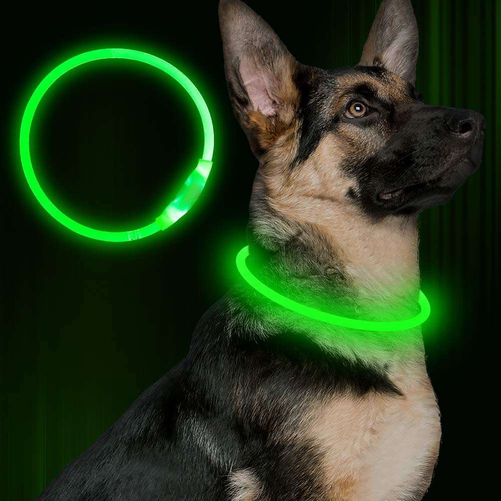 Glow Collar for Dogs
