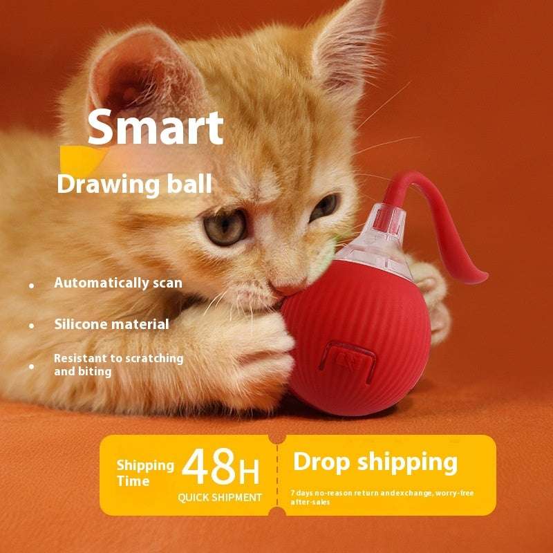 Super Chase Ball - Mans Bestie