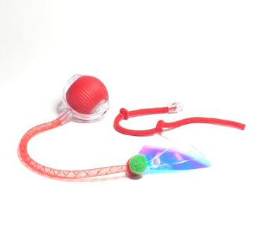 Super Chase Ball - Mans Bestie