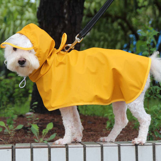 Yellow Dog Raincoat