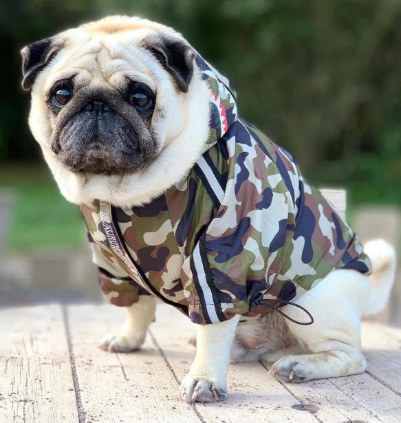 Paw-Tex™- All-Weather Dog Jacket - Mans Bestie