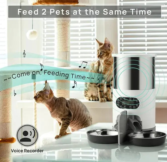 🐾 FeediFi™ Smart Pet Feeder™ - Mans Bestie
