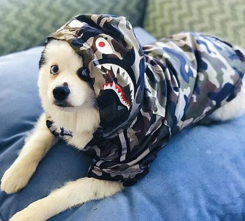 Paw-Tex™- All-Weather Dog Jacket - Mans Bestie