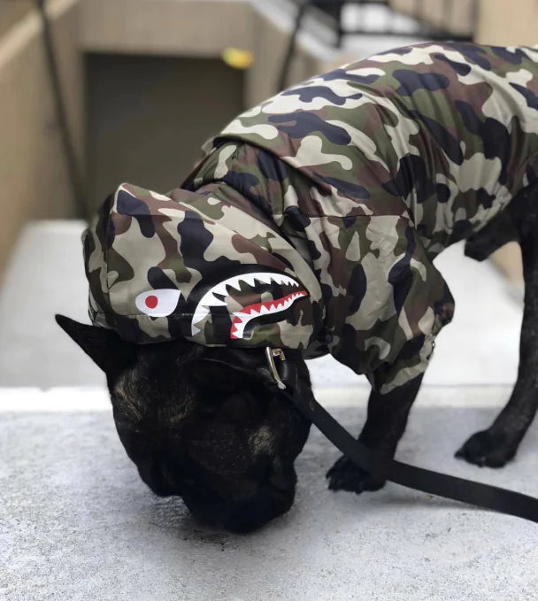 Paw-Tex™- All-Weather Dog Jacket - Mans Bestie