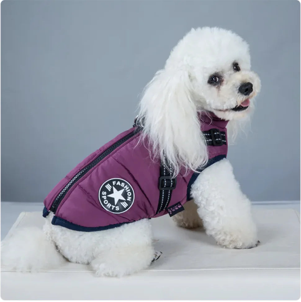 AlpinePaws⢠Vest - Mans Bestie