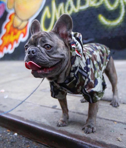 Paw-Tex™- All-Weather Dog Jacket - Mans Bestie