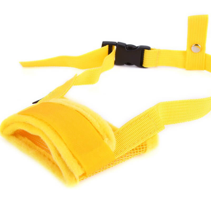 Dog Mouth Guard