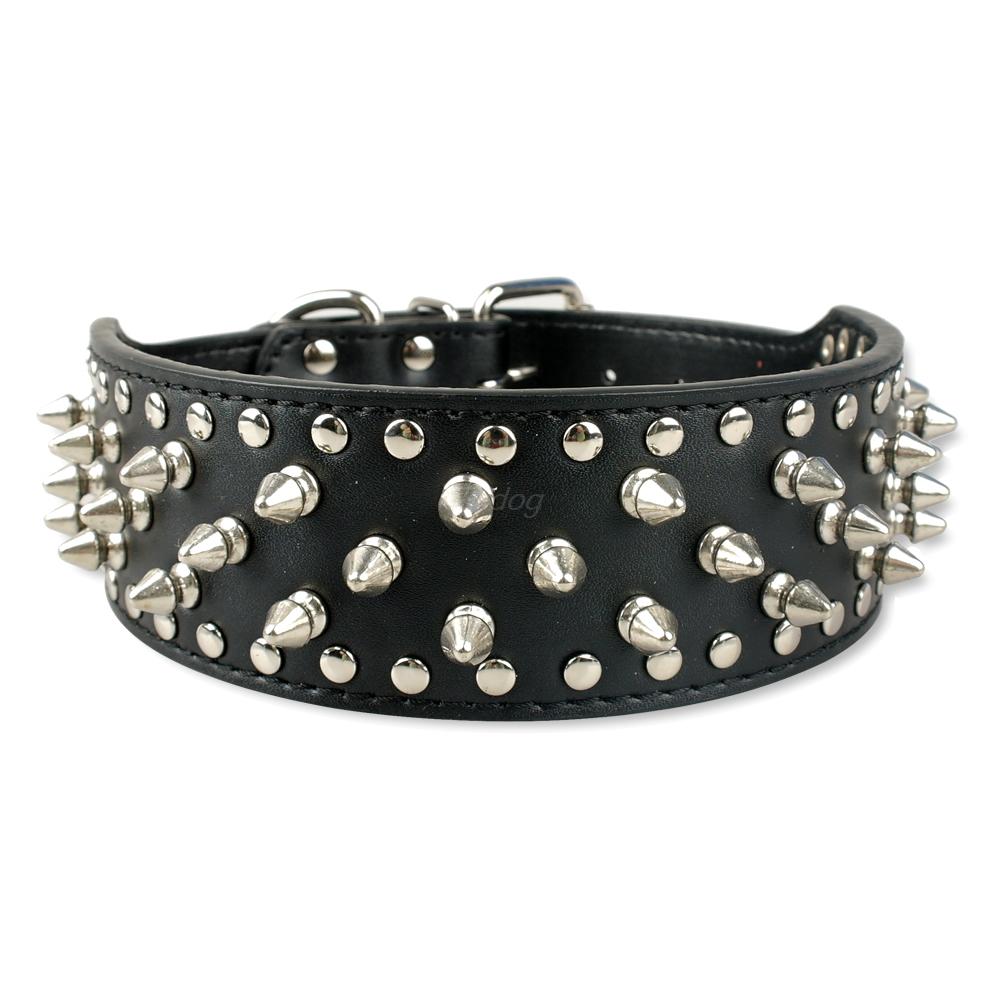 Studded Stylish Dog Collar