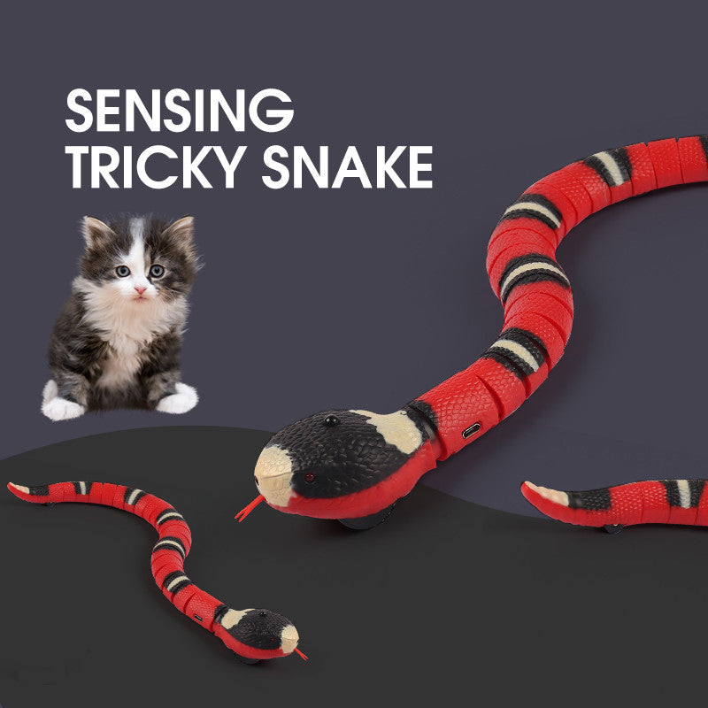 Cat Snake Toy