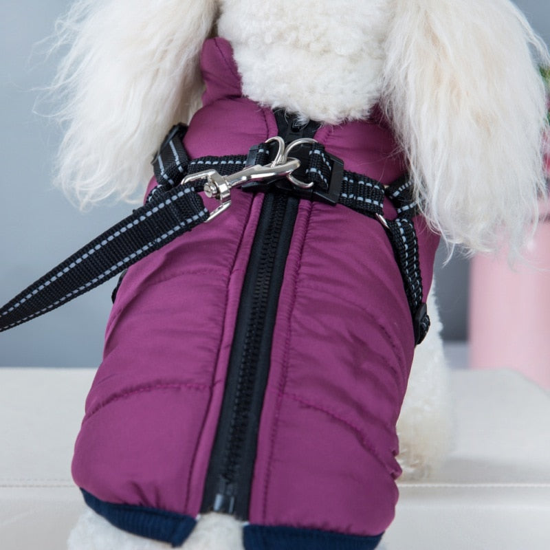 Dog Coat with Harness