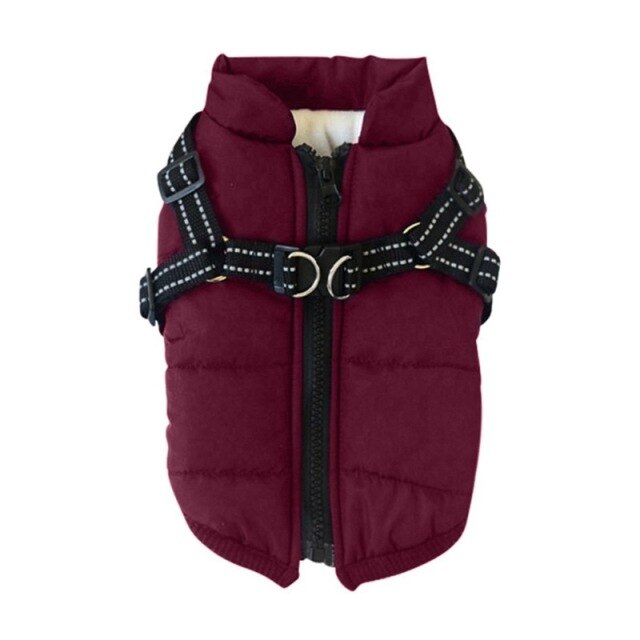 Dog Coat with Harness