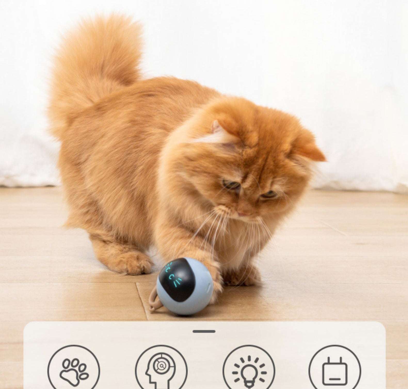 Magic Interactive Rolling Ball