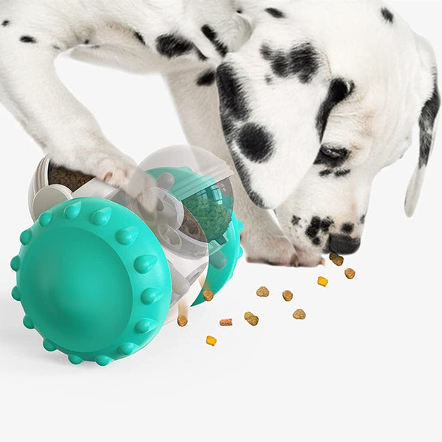 Slow Feed Interactive Balance Car for Cats & Dogs
