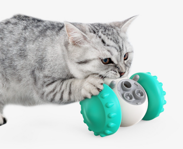 Slow Feed Interactive Balance Car for Cats & Dogs