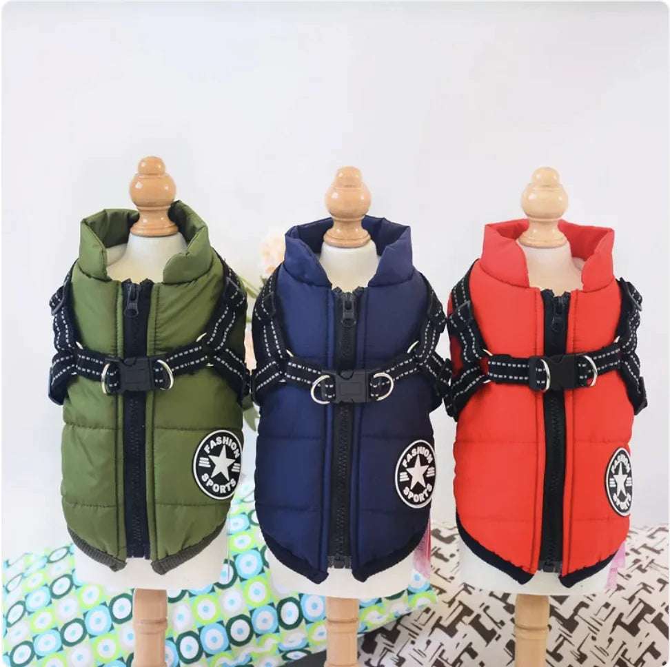 AlpinePaws™ Vest - Mans Bestie