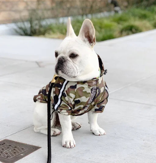 Paw-Tex™- All-Weather Dog Jacket - Mans Bestie
