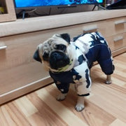 Small Dog Winter Coat