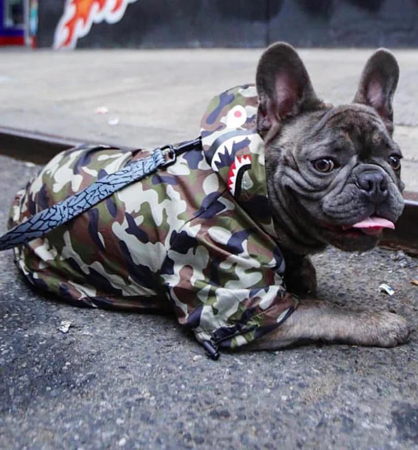 Paw-Tex™- All-Weather Dog Jacket - Mans Bestie