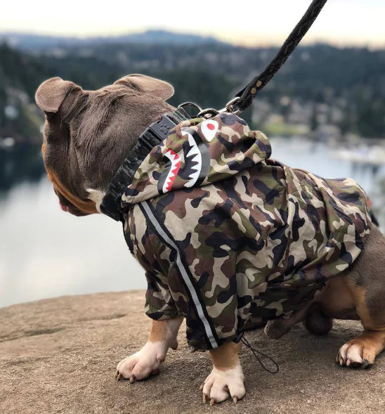 Paw-Tex™- All-Weather Dog Jacket - Mans Bestie