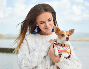 Pets Collars