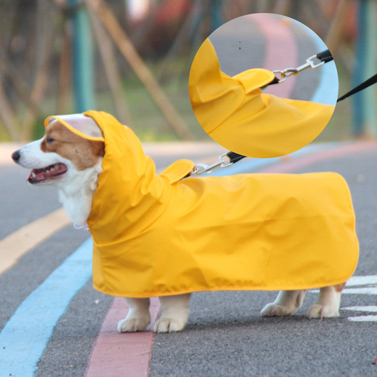 Yellow Dog Raincoat