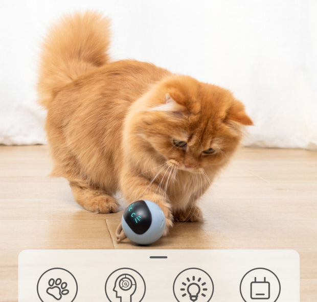 Magic Interactive Rolling Ball