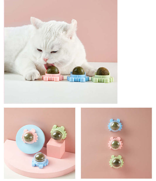 Catnip Spinning Lick Ball