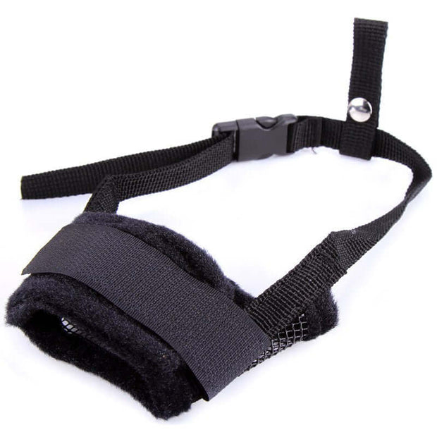Dog Mouth Guard
