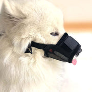 Dog Mouth Guard
