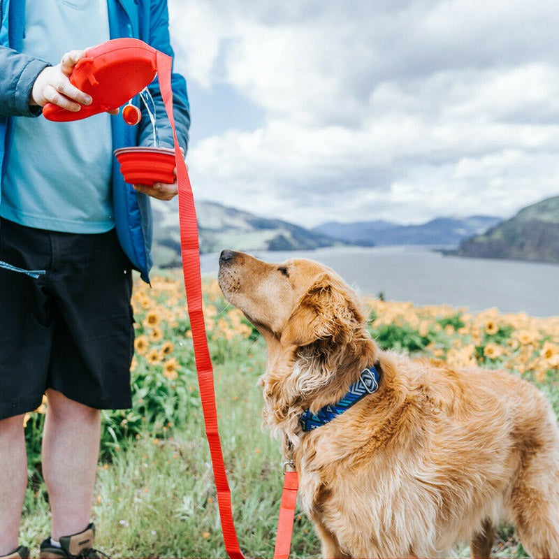 3 in 1 Dog Lead, Water bottle & Bowl