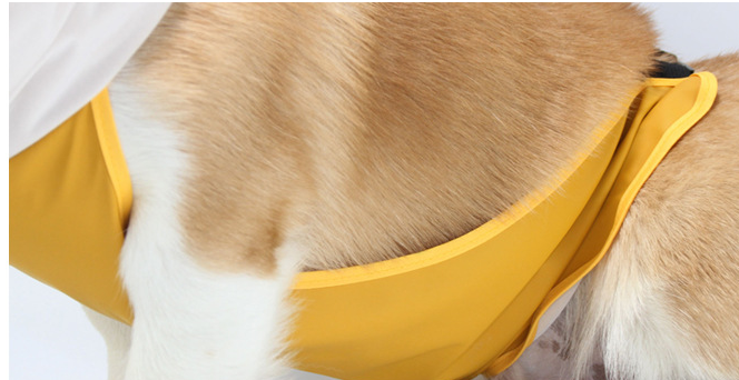 Yellow Dog Raincoat