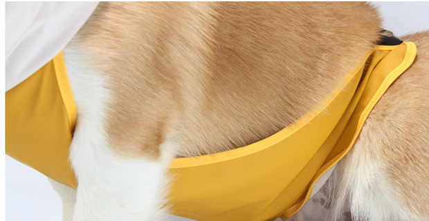 Yellow Dog Raincoat