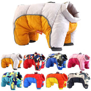 Teddy Dog Coat