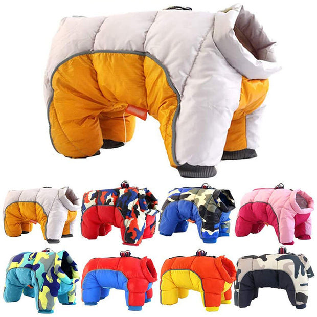 Teddy Dog Coat