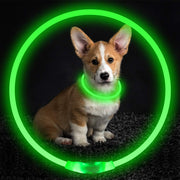 Glow Collar for Dogs