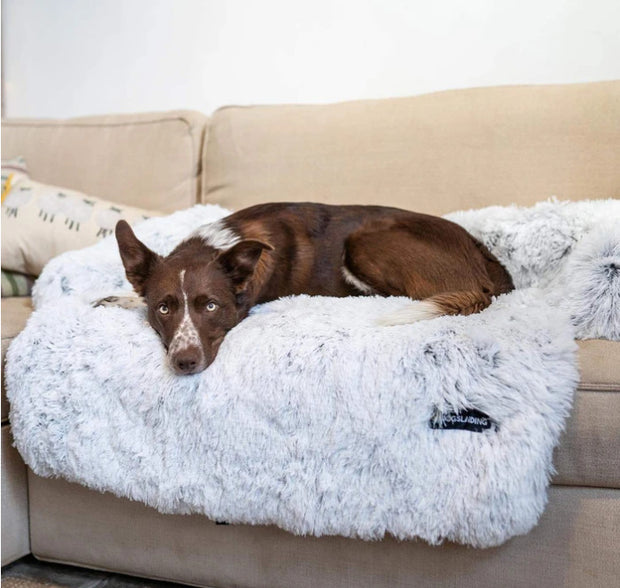 Portable Pet Bed