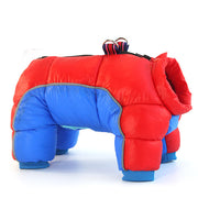 Teddy Dog Coat
