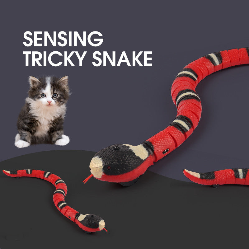 Cat Snake Toy 